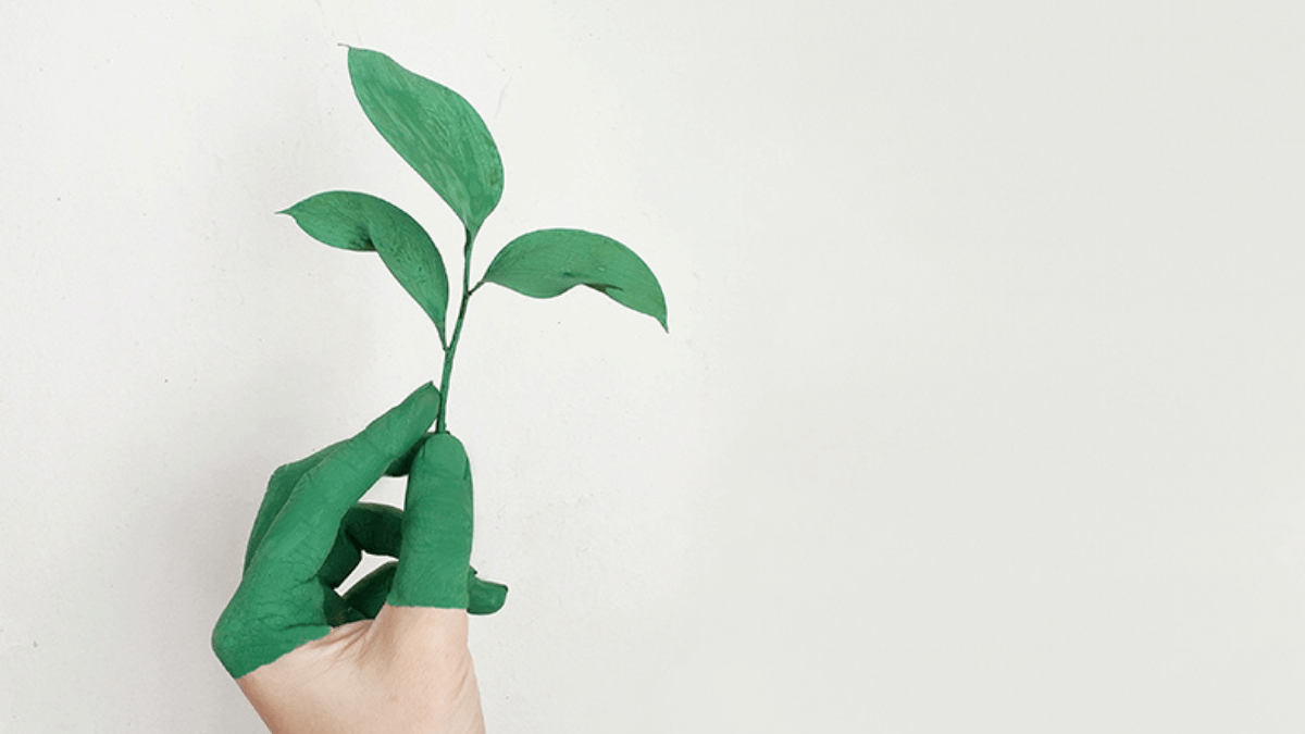 Sustainability