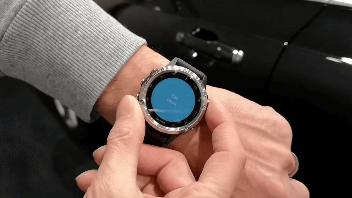 Garmin