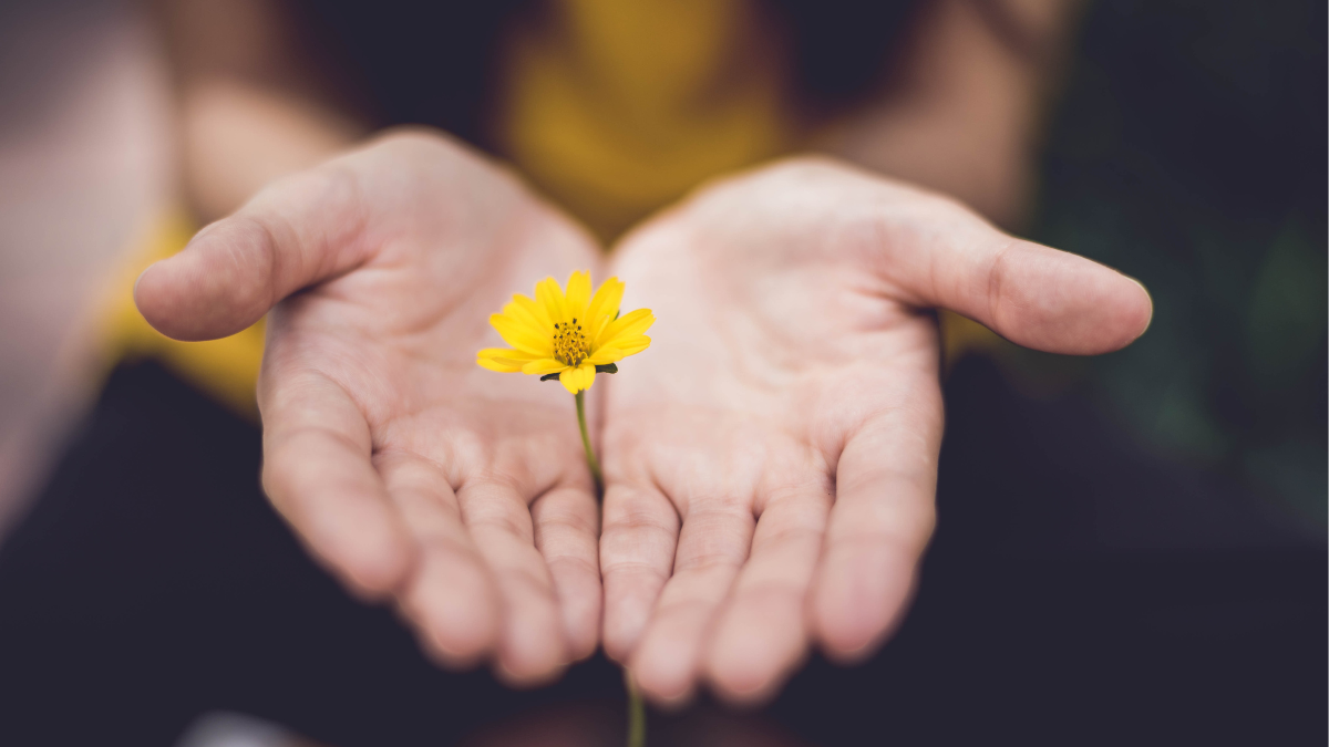 Integration creates added value